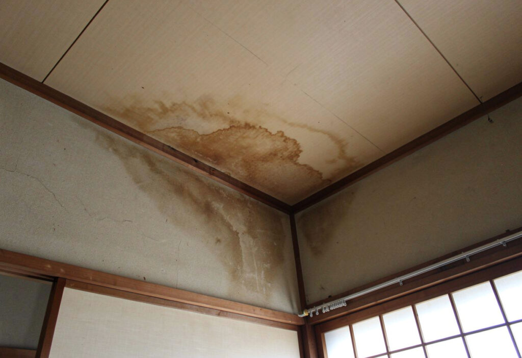 天井にできた雨漏りによるシミの広がりを確認している様子を示す写真です。