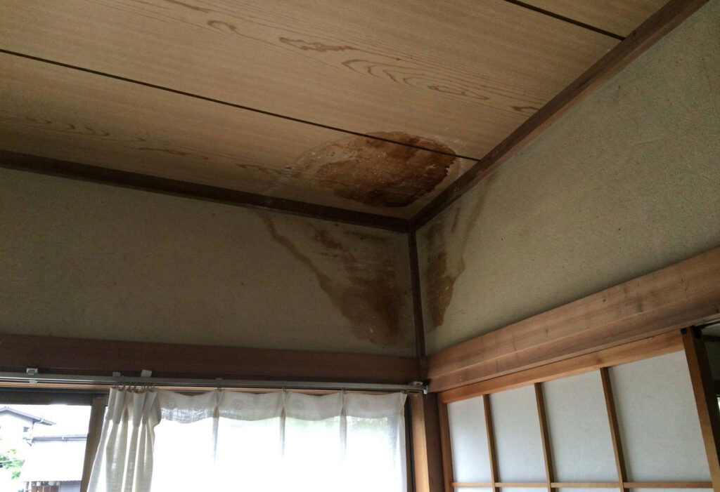 台風後に室内の天井にできた雨漏りによるシミを確認している様子